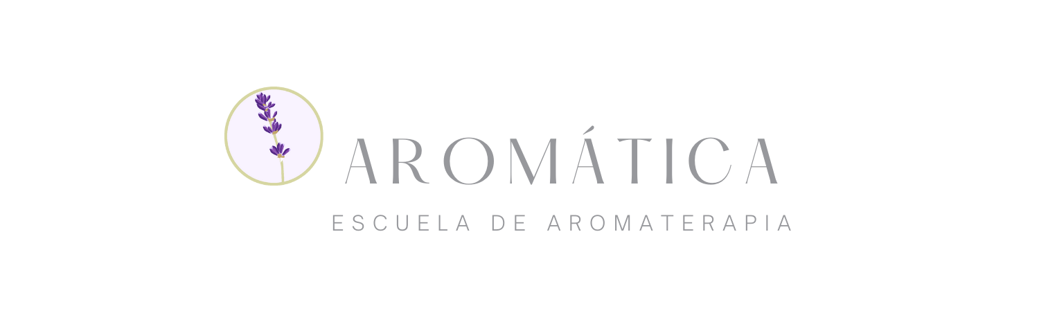 logo fondo transparente grande